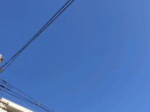 すみれ