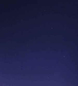すみれ
