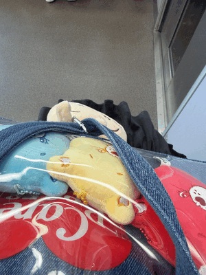 ひより