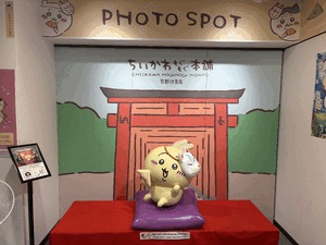 ひより